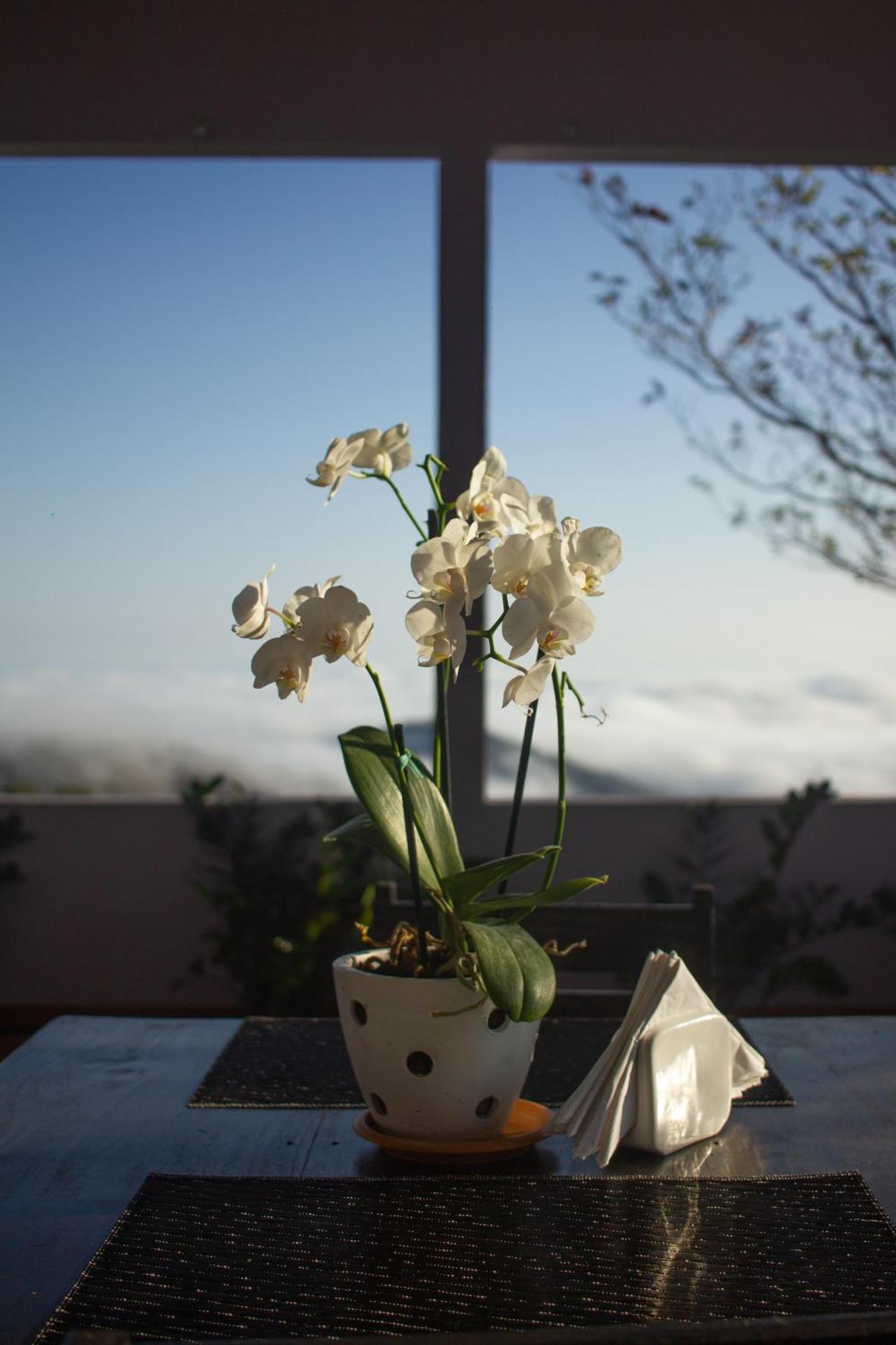 Nosara Hideaway 2 - Breakfast Included & Mountain View Cabins Nicoya Exterior foto